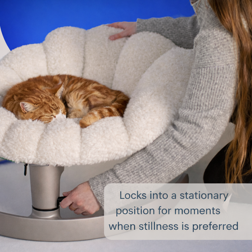 SnugShell