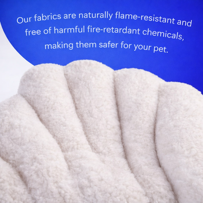 SnugShell